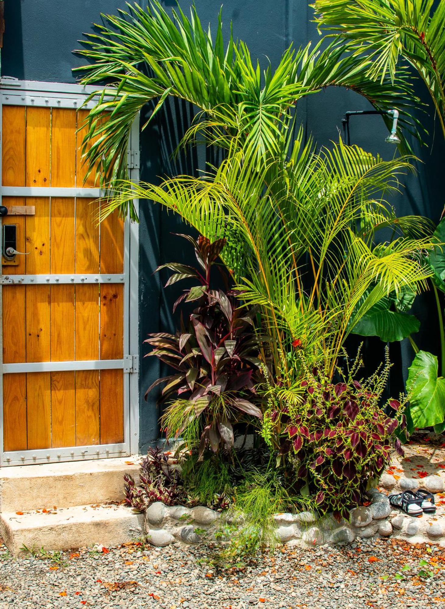 Mecca Hotel Puerto Viejo de Talamanca ภายนอก รูปภาพ