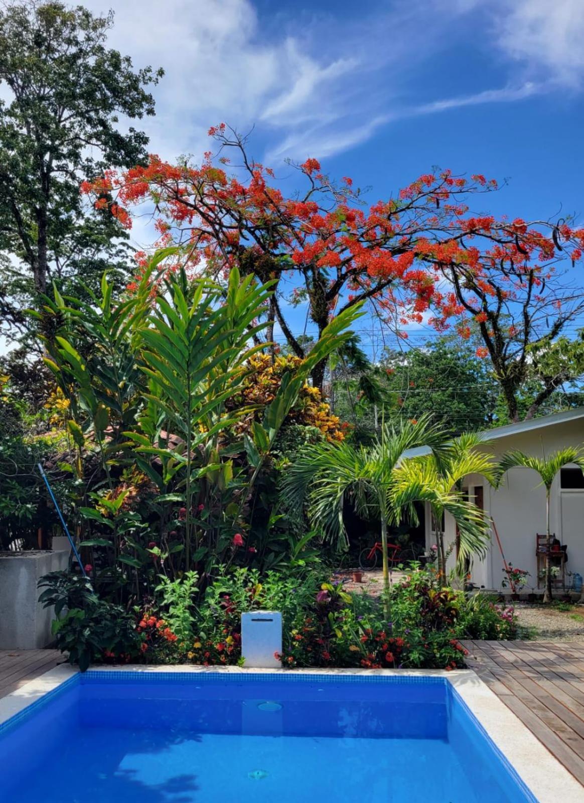 Mecca Hotel Puerto Viejo de Talamanca ภายนอก รูปภาพ