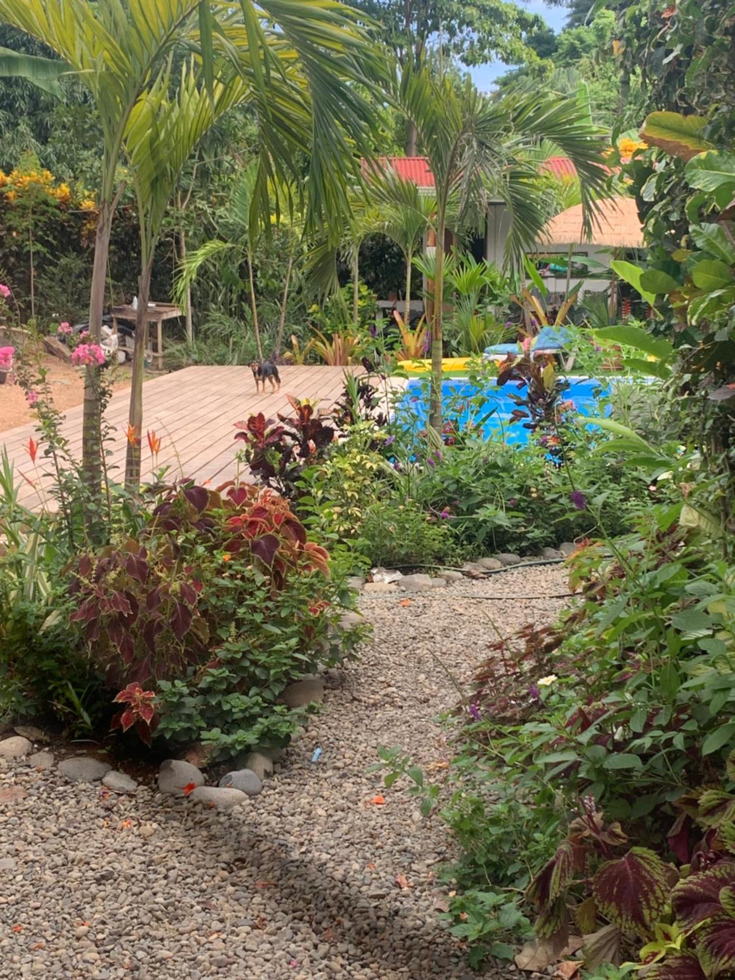 Mecca Hotel Puerto Viejo de Talamanca ภายนอก รูปภาพ