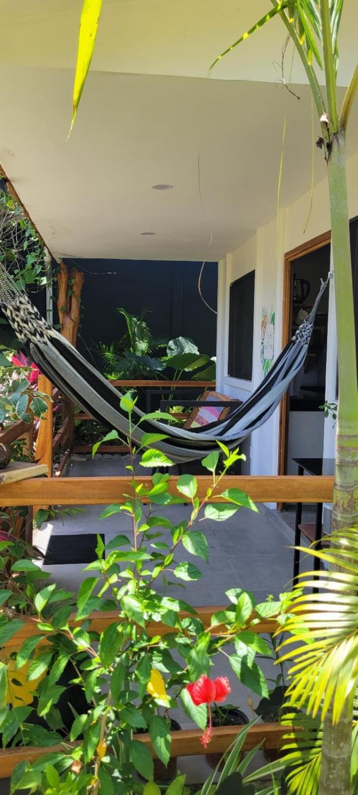 Mecca Hotel Puerto Viejo de Talamanca ภายนอก รูปภาพ